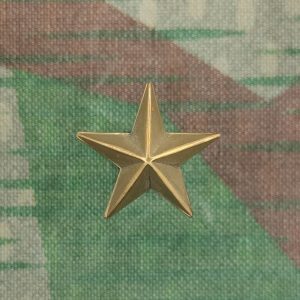 Stern zu Tschako Ord. 1875 für Landsturm und Landwehr, Gold, Variante 2