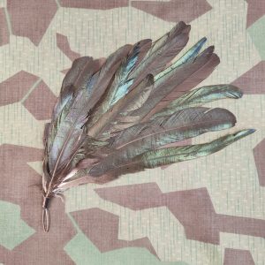 Melone Federbusch Ord. 1861